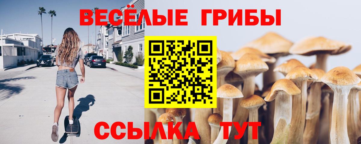 Галлюциногенные грибы MAGIC MUSHROOMS  Вход с VPN  Воткинск  Псилоцибиновые грибы мухоморы 